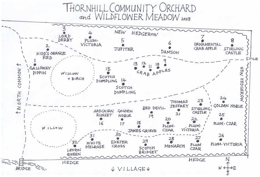 Orchard Map Example Orchard Map and Tree Information – Thornhill Community Website